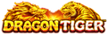 Dragon Tiger Logo